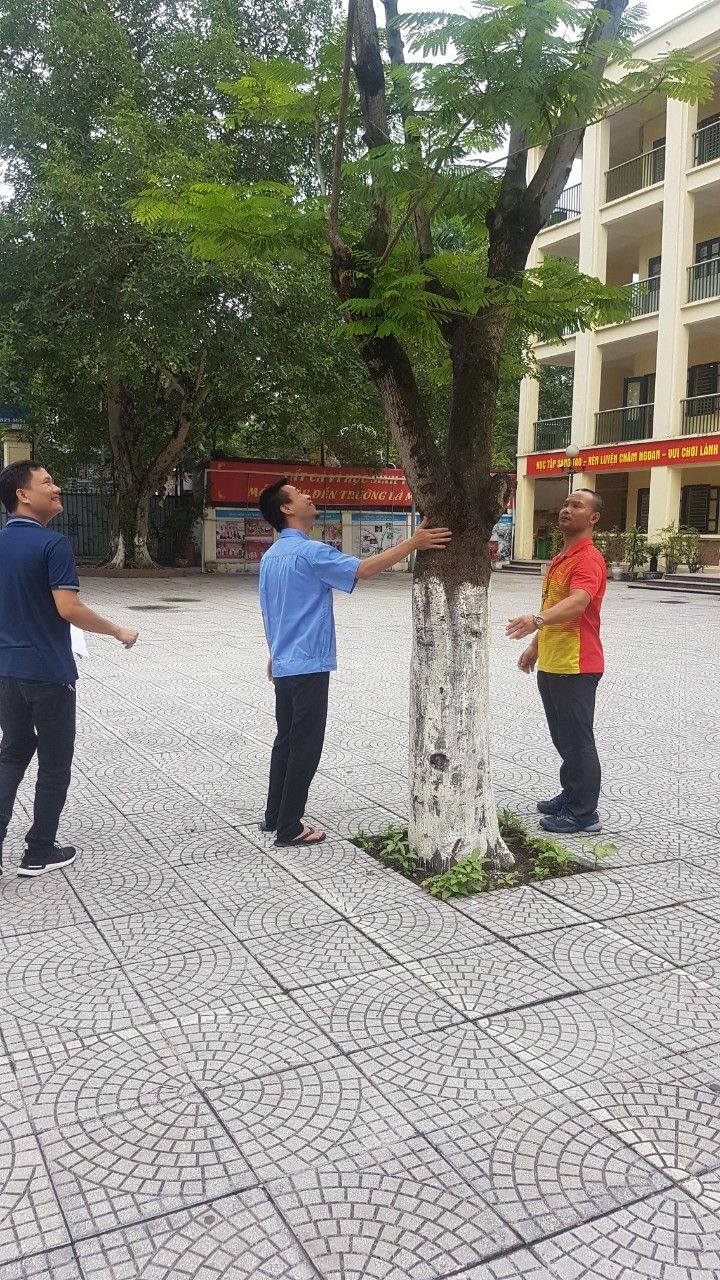 Trường THCS Thống Nhất – Chủ động trong công tác đảm bảo an toàn trường học