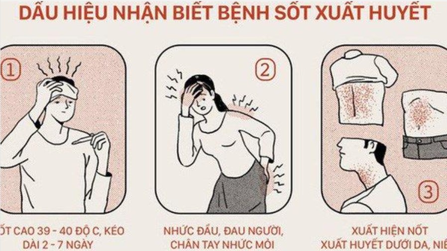 Giai đoạn nguy hiểm nhất của sốt xuất huyết
