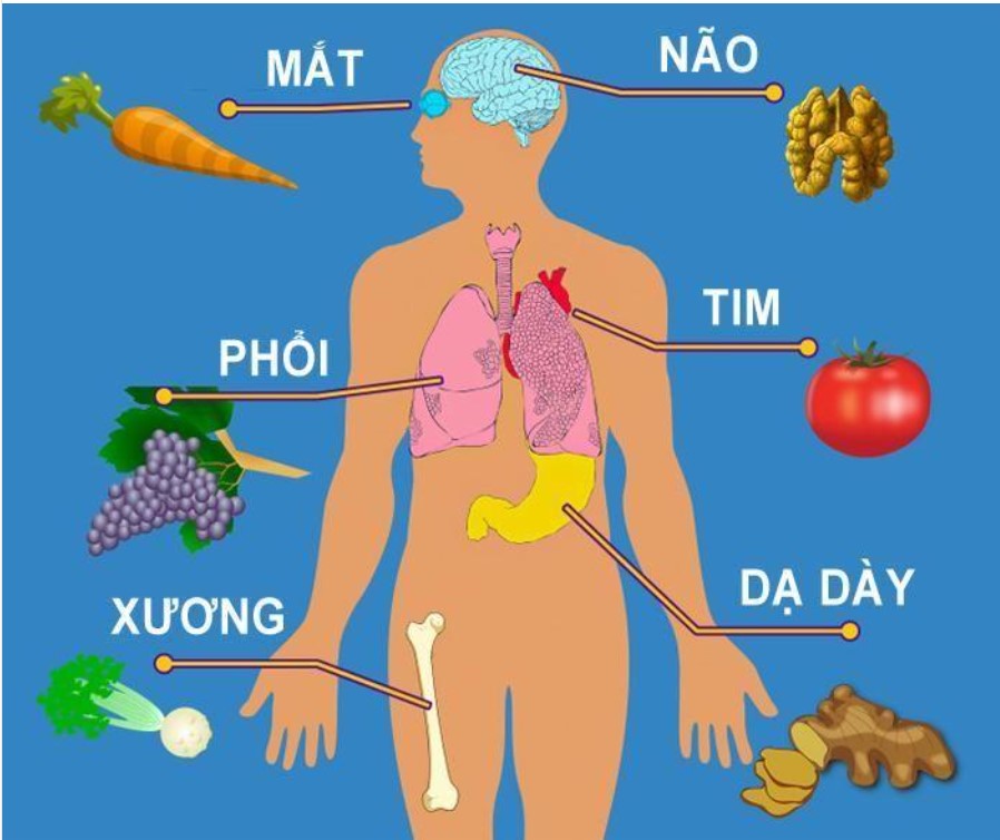 Các loại rau quả bổ cho từng bộ phận trên cơ thể