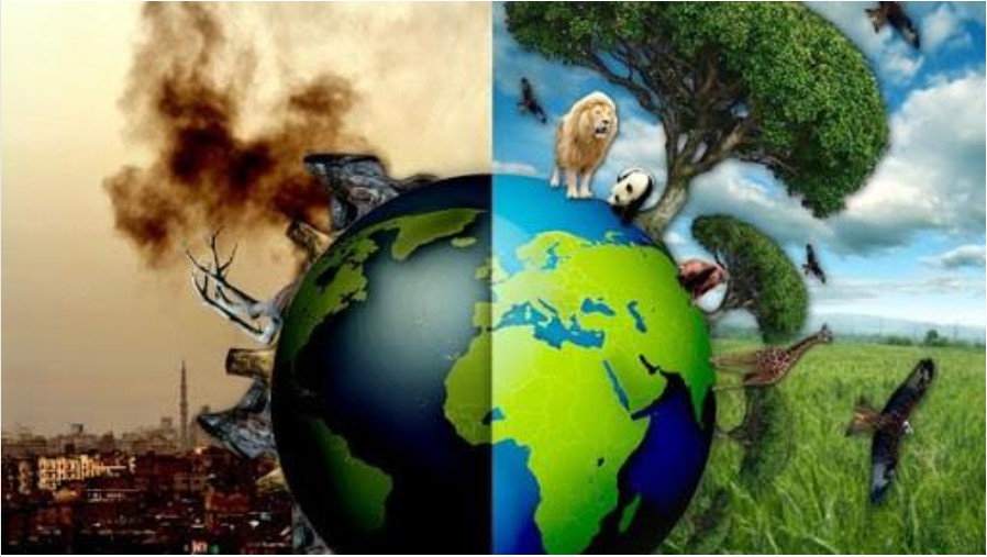 Bảo vệ môi trường là trách nhiệm của toàn xã hội