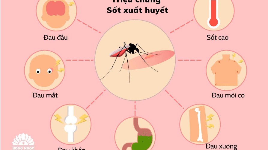 Những điều cần tránh khi bị sốt xuất huyết
