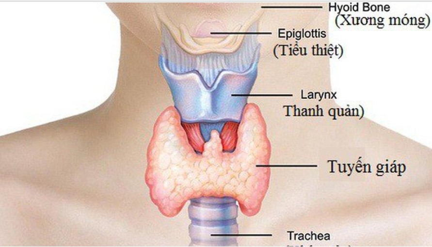5 nhóm người này có nguy cơ ung thư tuyến giáp cao