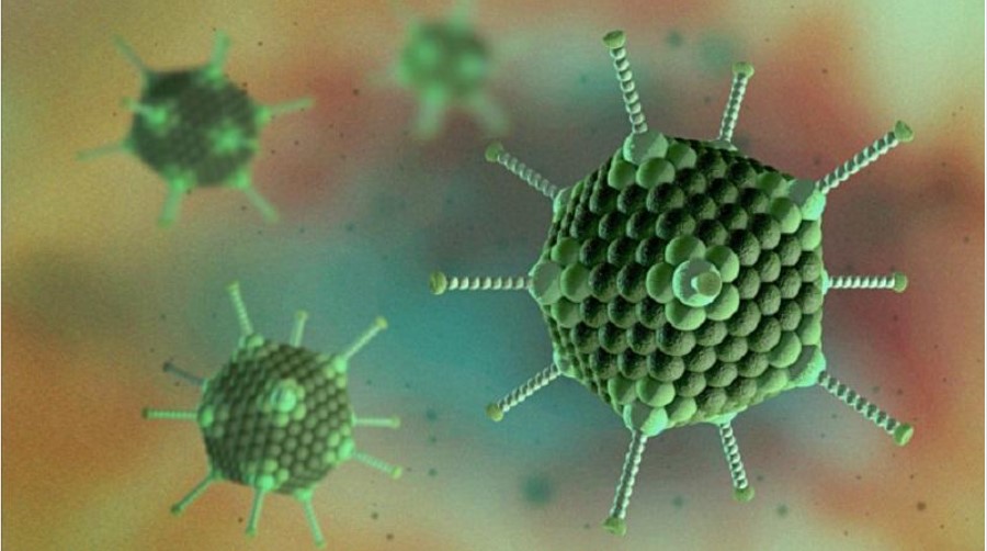 Số ca mắc bệnh do virus Adeno có xu hướng tăng mạnh